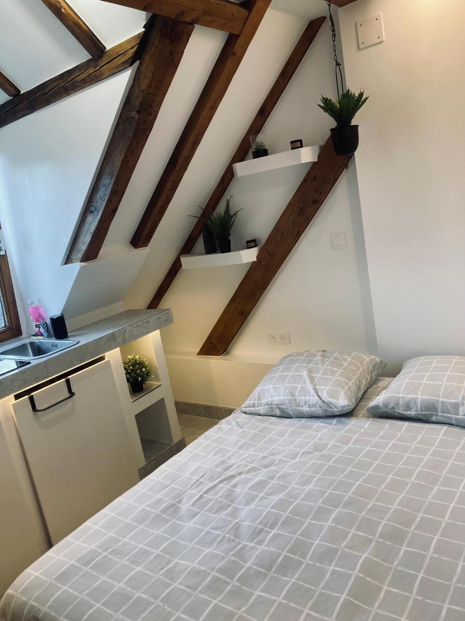 Petit Nid Sympa A Strasbourg Apartment Ngoại thất bức ảnh